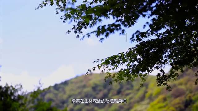 内蒙小羊腿为什么是山东发货？