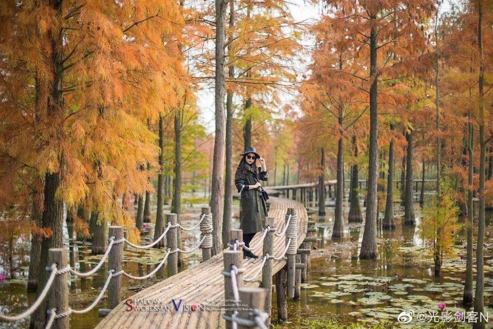男子称月嫂疑为哄睡婴儿投喂安眠药，家中藏匿多种药品：孩子出现便血