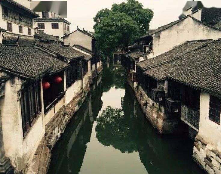 建成12座“世界第一”的桥梁！贵州团队获首届“国家卓越工程师团队”称号